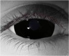 Mini Sclera