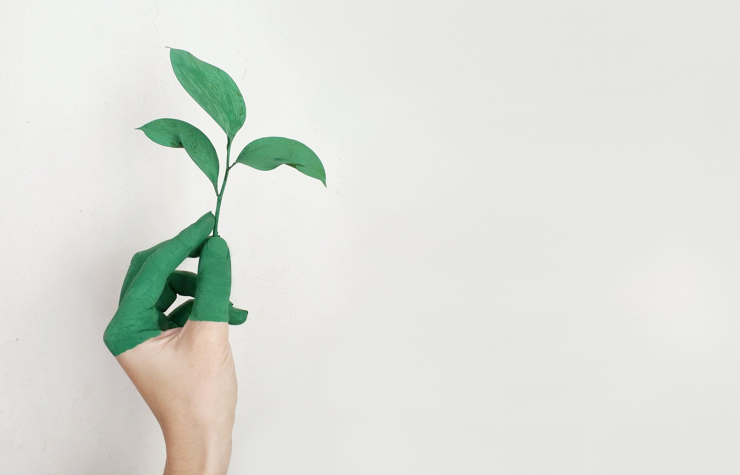 Promoting eco-friendly contact lenses for a greener future.