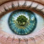 Earth day Contact Lens